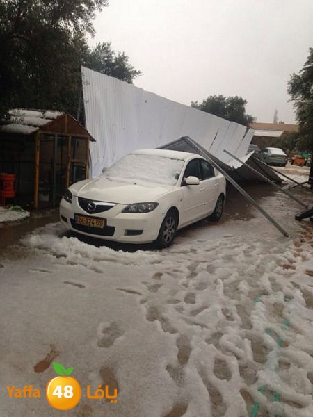 iceman lud 1213 (12).jpg